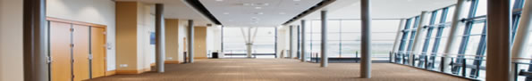Carpet Cleaning